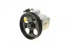 <strong>Насос гідропідсилювача SOLGY 207068 (фото 1)</strong>