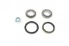 <strong>Підшипник маточини (ремкомплект) SOLGY 216132 (фото 1)</strong>
