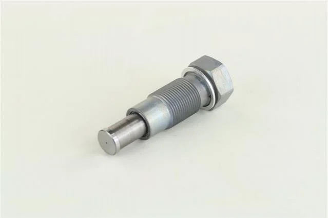 <strong>Натягувач ланцюгу грм SSANGYONG 1720500011 (фото 1)</strong>