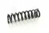 <strong>Пружина підвіски задньої Rexton (06-12) SsangYong SSANGYONG 4511008C01 (фото 1)</strong>