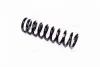 <strong>Пружина підвіски задня Rexton (12-) MULTI-LINK SsangYong SSANGYONG 4511008C10 (фото 1)</strong>