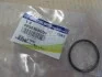 <strong>Кольцо уплотнительное вакуумного усилителя тормозов Ssang Yong SSANGYONG 4850308000 (фото 2)</strong>