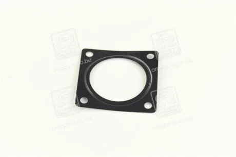 Прокладка клапана Kyron, Actyon (Sports), Rexton (вир-во SsangYong) для SSANGYONG 6641410380 фото товару
