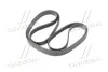 <strong>Ремінь приводу Actyon, Kyron, Rexton, Rodius 6PK2255 SsangYong SSANGYONG 6659970392 (фото 3)</strong>