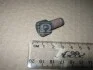 <strong>Болт (вир-во SsangYong) SSANGYONG 6719903212 (фото 1)</strong>