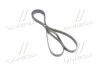 <strong>Ремень генератора Actyon, Actyon Sports, Korando C, Rexton 6PK1980 SsangYong SSANGYONG 6719970192 (фото 1)</strong>