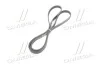 <strong>Ремень генератора Actyon, Actyon Sports, Korando C, Rexton 6PK1980 SsangYong SSANGYONG 6719970192 (фото 4)</strong>