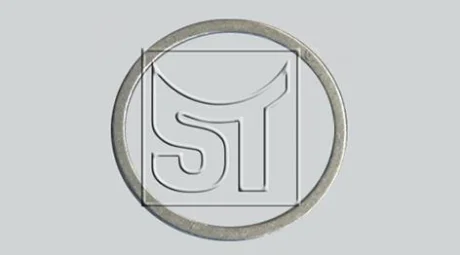 Ущільнююче кільце для ST-TEMPLIN 14.060.1595.050 фото товару