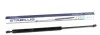 <strong>Газовый амортизатор STABILUS 8484CV (фото 1)</strong>