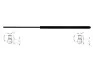 <strong>Амортизатор багажника STARLINE 41.12.800 (фото 1)</strong>