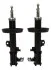 <strong>Амортизатор підвіски STARLINE TL C00060/1 (фото 1)</strong>