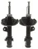 <strong>Амортизатор підвіски STARLINE TL C00112/3 (фото 1)</strong>