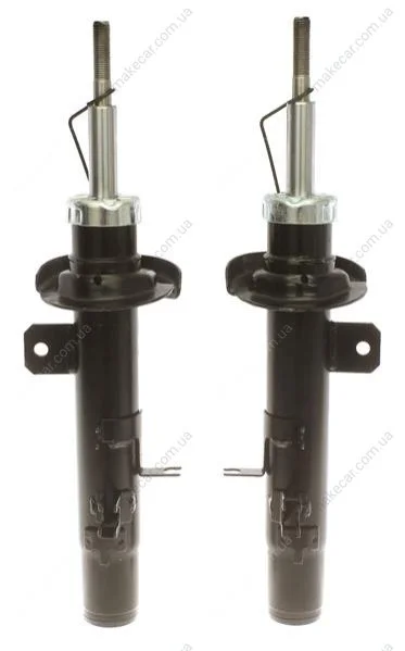 <strong>Амортизатор підвіски STARLINE TL ST020/1 (фото 1)</strong>