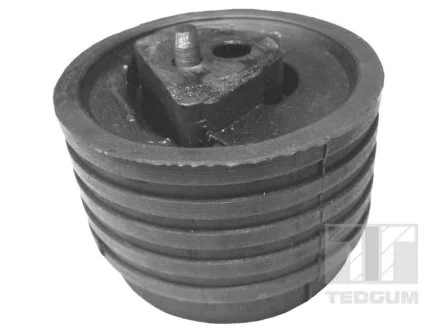 Подушка двигуна для TEDGUM 00614322 фото товару