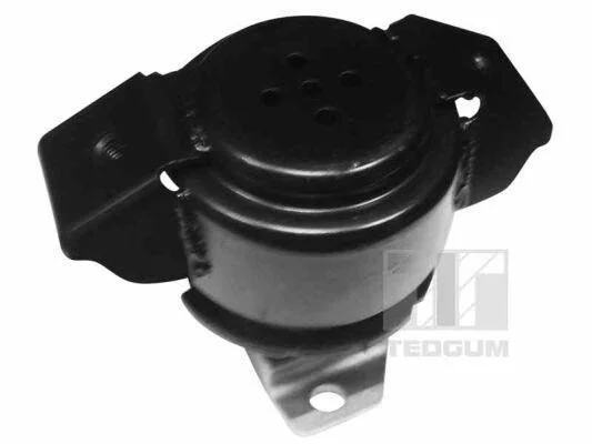 <strong>Подушка двигуна TEDGUM 00725583 (фото 1)</strong>