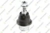 <strong>FORD Шаровая опора F-150 15- TEKNOROT FO-1134 (фото 1)</strong>