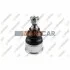<strong>HONDA Шаровая опора нижн.Accord VIII 08- TEKNOROT H-380 (фото 1)</strong>