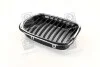 <strong>Решітка в капоті лів. BMW 5 E39 (вир-во) TEMPEST 014 0089 991 (фото 1)</strong>