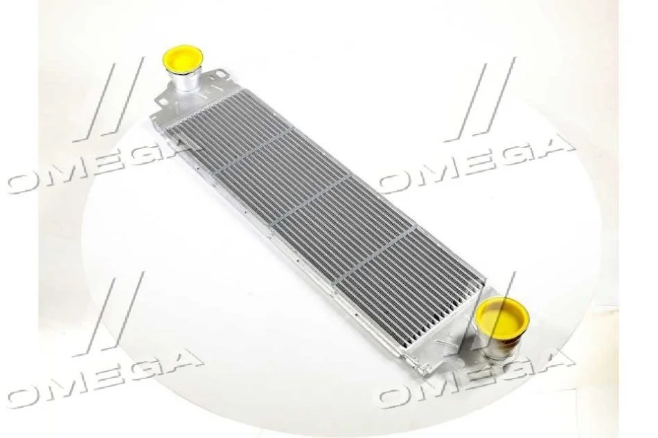 <strong>Інтеркулер VW TRANSPORTER T5 03- TEMPEST TP.15.96.683 (фото 1)</strong>