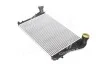 <strong>Інтеркулер SKODA OCTAVIA/CADDY/PASSAT 04- TEMPEST TP.15.96.715 (фото 1)</strong>
