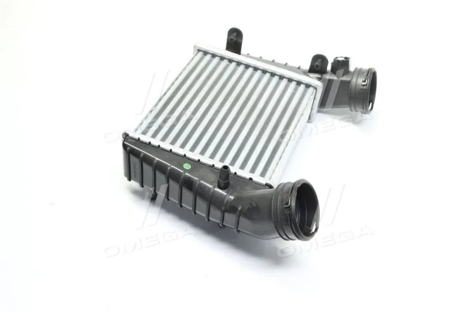 <strong>Інтеркулер VW PASSAT 00-05 (1.8T) TEMPEST TP.1596731 (фото 1)</strong>