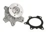 <strong>Насос охолоджуючої рідини, з ущільненням MINI (R50, R53) TOYOTA AURIS, COROLLA, YARIS 1.3/1.4D 09.02-12.18 THERMOTEC D12093TT (фото 1)</strong>
