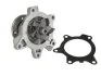 <strong>Насос охолоджуючої рідини, з ущільненням MINI (R50, R53) TOYOTA AURIS, COROLLA, YARIS 1.3/1.4D 09.02-12.18 THERMOTEC D12093TT (фото 2)</strong>