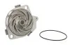 <strong>Насос охолоджуючої рідини, з ущільненням MERCEDES SPRINTER 3,5-T (B906) ALFA ROMEO 145, 146, 147, 156, 159, 166, GIULIETTA, GIULIETTA/HATCHBACK FIAT BRAVA, BRAVO I, BRAVO II 1.8-2.4D 08.94- THERMOTEC D1F035TT (фото 1)</strong>