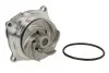 <strong>Насос охолоджуючої рідини, з ущільненням FORD COUGAR, FOCUS I, FOCUS I/KOMBI, MONDEO II, TOURNEO CONNECT, TRANSIT CONNECT HYUNDAI GETZ MAZDA TRIBUTE 1.4-2.0 08.96-12.13 THERMOTEC D1G002TT (фото 1)</strong>