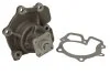 <strong>Насос охолоджуючої рідини, з ущільненням FORD TRANSIT, TRANSIT TOURNEO 2.4D/2.5D 10.83-12.00 THERMOTEC D1G026TT (фото 2)</strong>