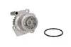<strong>Насос охолоджуючої рідини, з ущільненням AUDI A2, A3 FORD GALAXY I SEAT ALHAMBRA, ALTEA, ALTEA XL, CORDOBA, IBIZA III, IBIZA IV, IBIZA IV SC, LEON, TOLEDO III SKODA FABIA I 0.8-2.0D 09.75- THERMOTEC D1W037TT (фото 1)</strong>