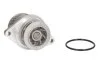 <strong>Насос охолоджуючої рідини, з ущільненням AUDI A2 SEAT LEON VW BORA, BORA I, GOLF IV, LUPO I, POLO, POLO III 1.6 09.98-06.06 THERMOTEC D1W044TT (фото 1)</strong>