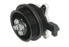 <strong>Насос охолоджуючої рідини AUDI A1 SEAT ALHAMBRA, IBIZA IV, IBIZA IV SC, IBIZA IV ST SKODA FABIA II VW BEETLE, CC B7, EOS, GOLF PLUS V, GOLF V, GOLF VI, JETTA III 1.4/1.4CNG 11.05-07.18 THERMOTEC D1W064TT (фото 1)</strong>