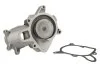 <strong>Насос охолоджуючої рідини THERMOTEC D1X008TT (фото 1)</strong>