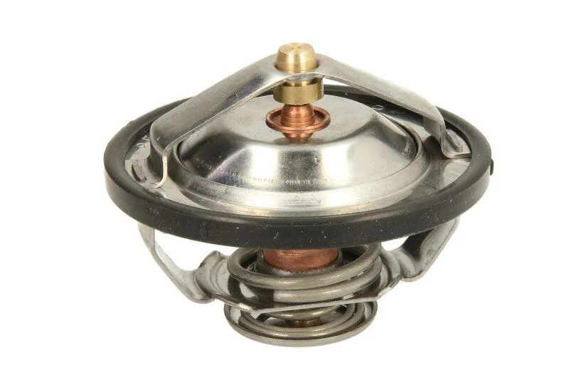 <strong>Термостат THERMOTEC D2CA009TT (фото 1)</strong>