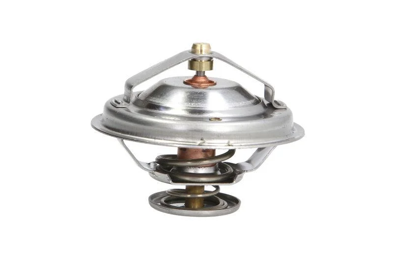<strong>Термостат THERMOTEC D2M003TT (фото 1)</strong>