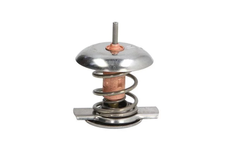 <strong>Термостат THERMOTEC D2Y002TT (фото 1)</strong>