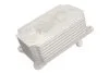 <strong>Охолоджувач мастила THERMOTEC D4G004TT (фото 2)</strong>