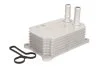 <strong>Охолоджувач мастила THERMOTEC D4G005TT (фото 1)</strong>