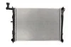 <strong>Радіатор THERMOTEC D70301TT (фото 1)</strong>