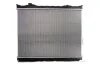 <strong>Радіатор THERMOTEC D70315TT (фото 1)</strong>