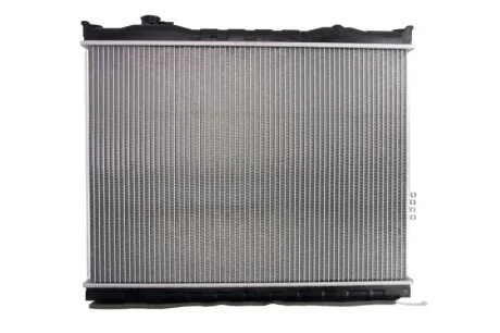 Радіатор для THERMOTEC D70315TT фото товару