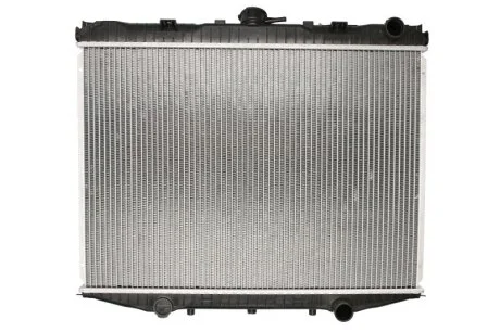 Радіатор для THERMOTEC D71013TT фото товару