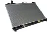 <strong>Радіатор THERMOTEC D78004TT (фото 1)</strong>