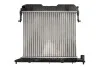 <strong>Радіатор охолодження двигуна THERMOTEC D7X037TT (фото 1)</strong>