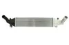 <strong>Інтеркулер THERMOTEC DA3001TT (фото 2)</strong>