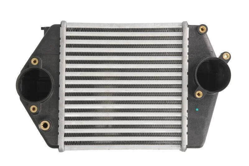 <strong>Інтеркулер THERMOTEC DA3002TT (фото 1)</strong>