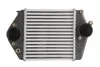 <strong>Інтеркулер THERMOTEC DA3002TT (фото 1)</strong>