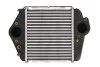 <strong>Інтеркулер THERMOTEC DA3004TT (фото 1)</strong>