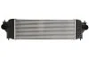 <strong>Інтеркулер THERMOTEC DA8001TT (фото 1)</strong>